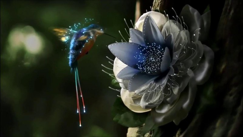 Заставка для компьютера на рабочий стол Живая