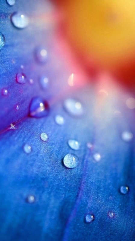 Фон на телефон красивые