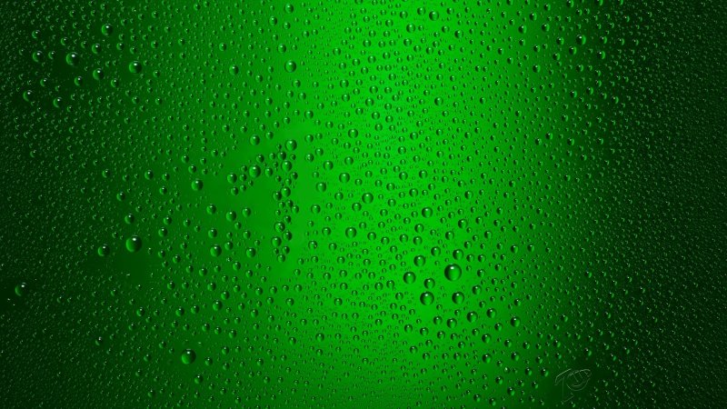 Зеленые обои