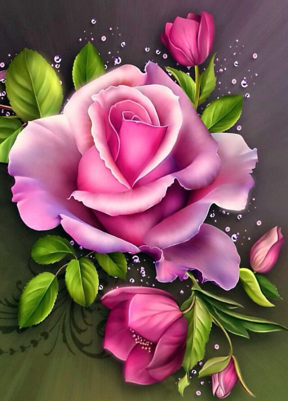 Фиолетовые розы