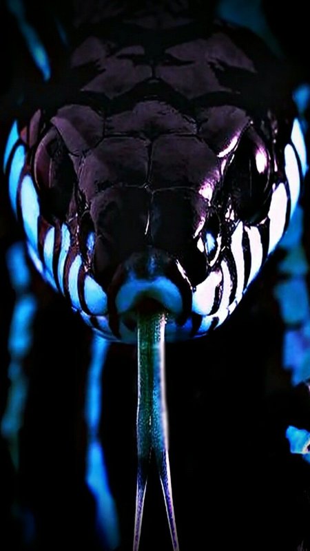 Кобра Анаконда Гюрза гадюка