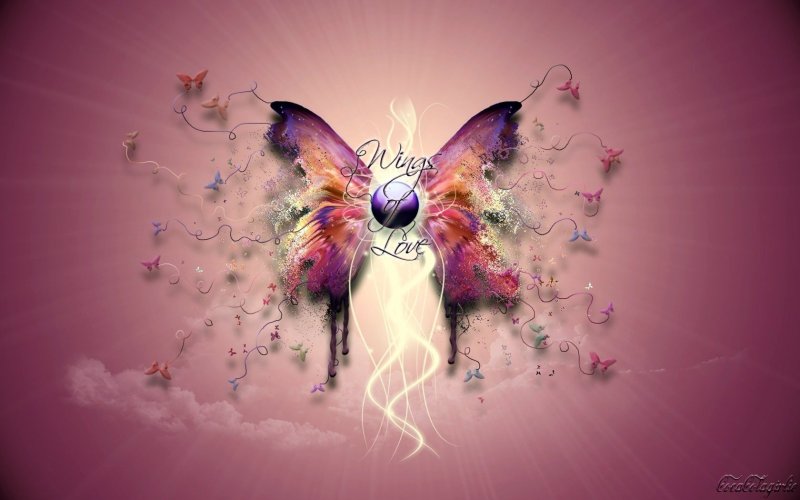 Аватар бабочка