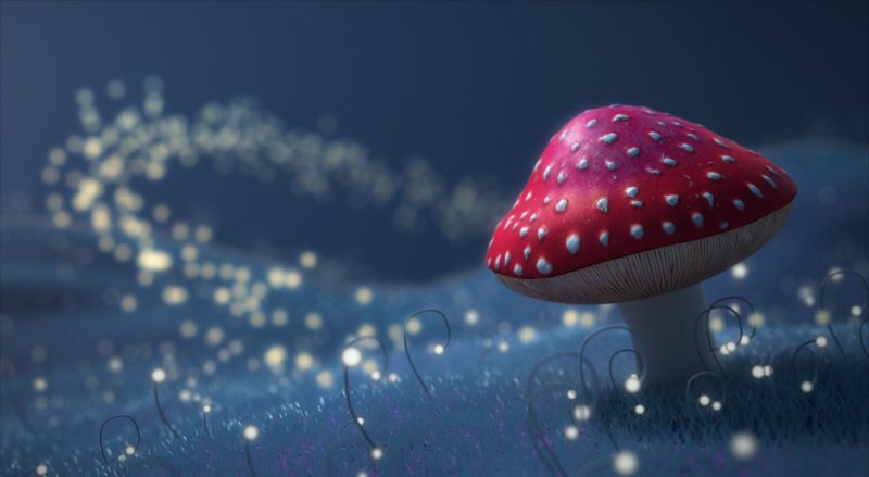 Красивые грибы