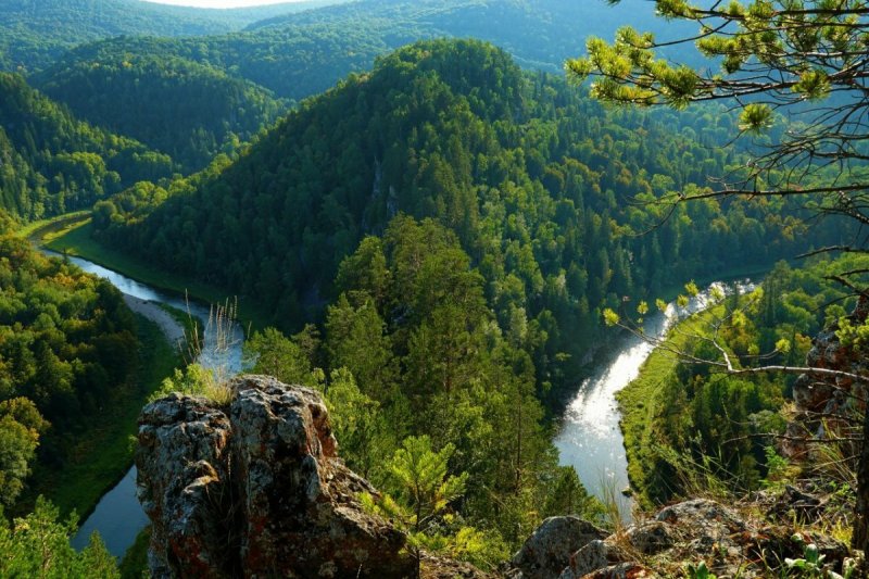 Каньон пятилистник Нугуш