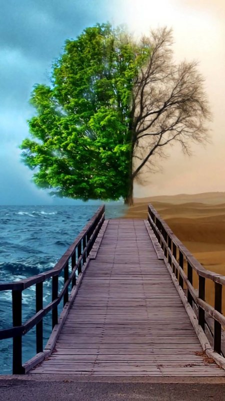 Жизнь природа