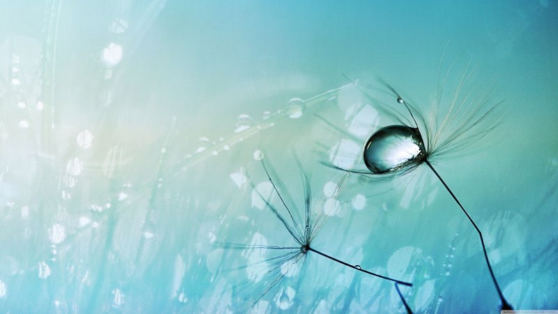 Спокойная заставка на рабочий стол