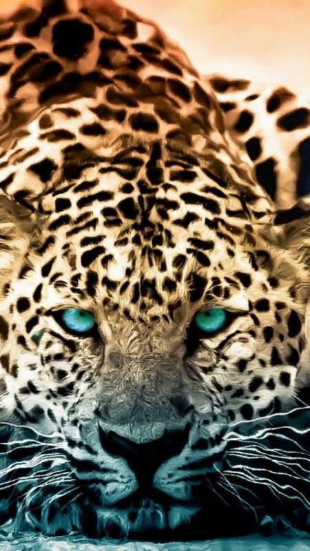 Фон на телефон красивые