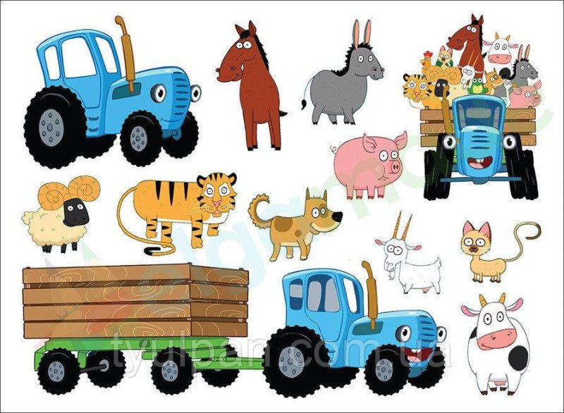 Синий трактор спереди на белом фоне