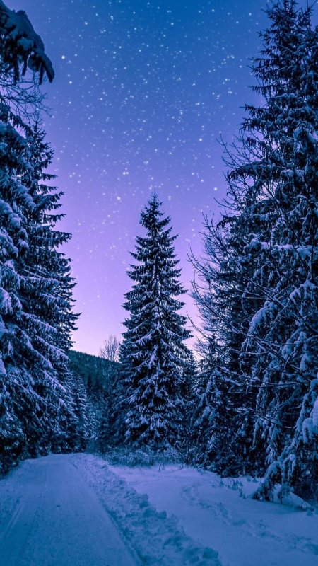 Новогодняя природа