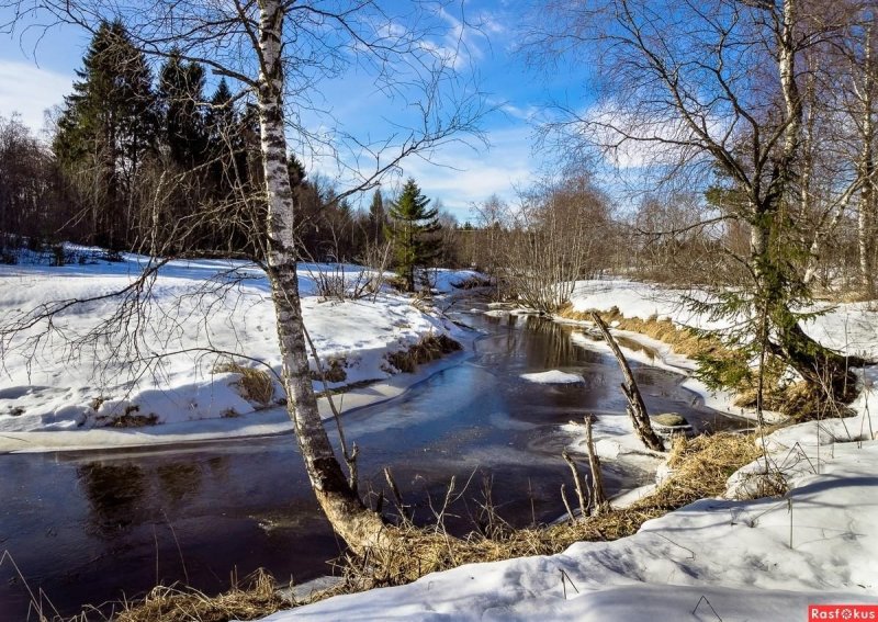 Весенняя природа