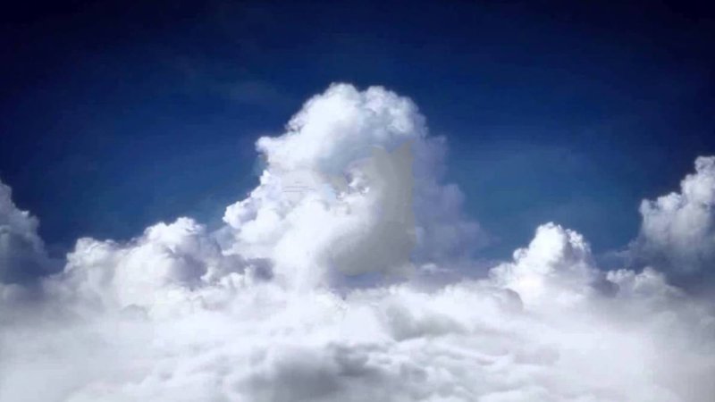 ТРИСТАР киностудия