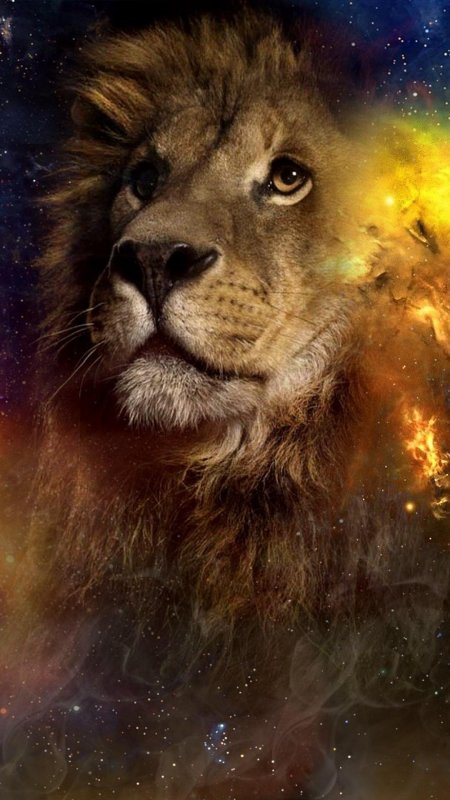 Лев на экран