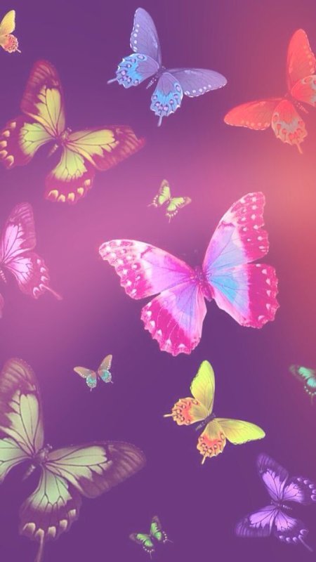 Розовый фон с бабочками