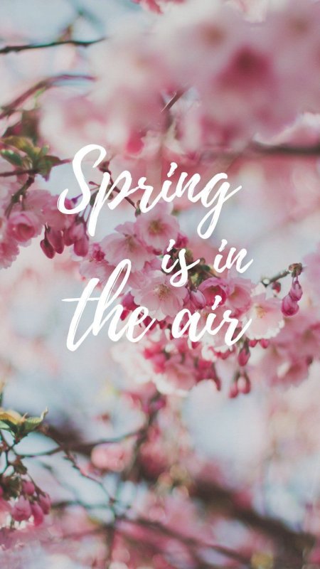 С первым днем весны Эстетика