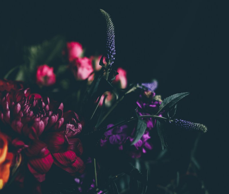 Цветы в темноте