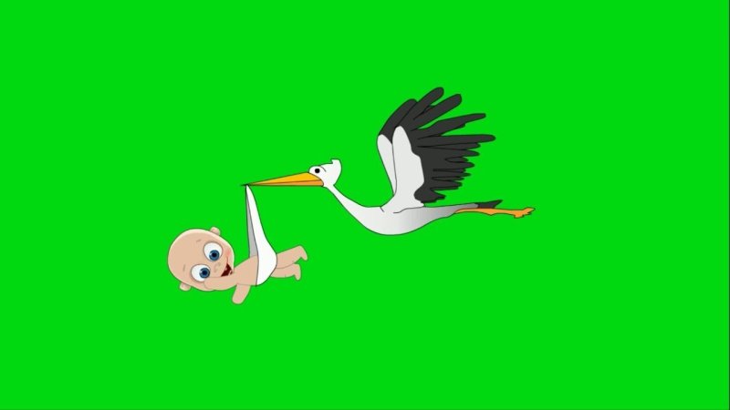 Аист с ребенком