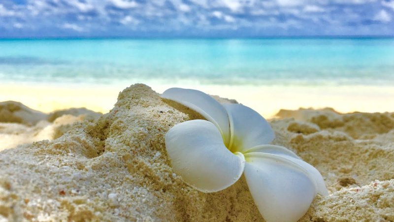 Море релаксация