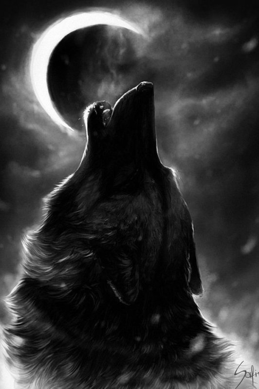 Заставка на телефон волк