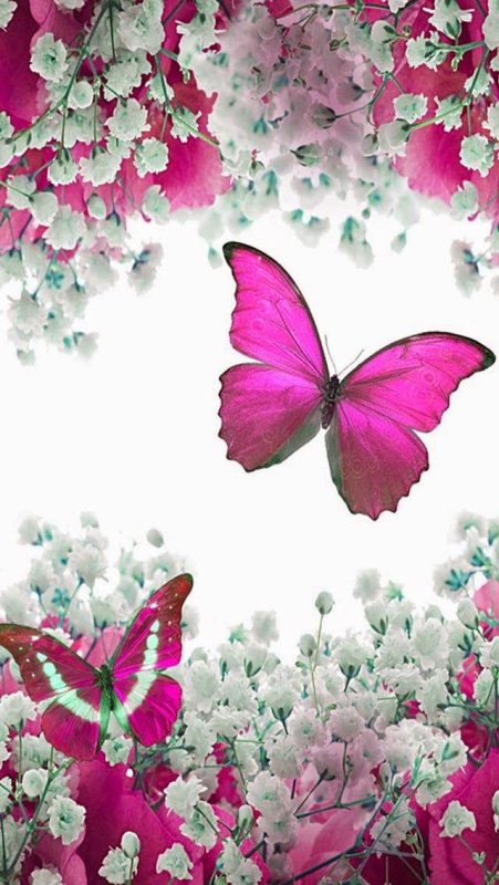 Бабочки розовые