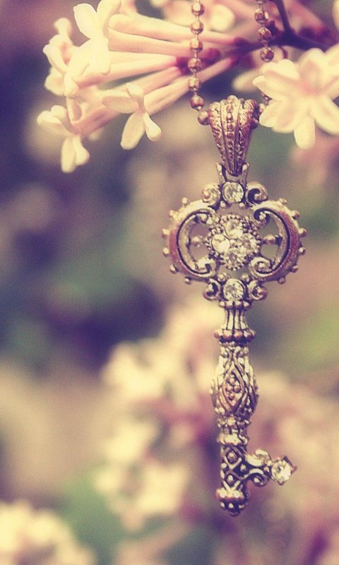 Волшебный ключ