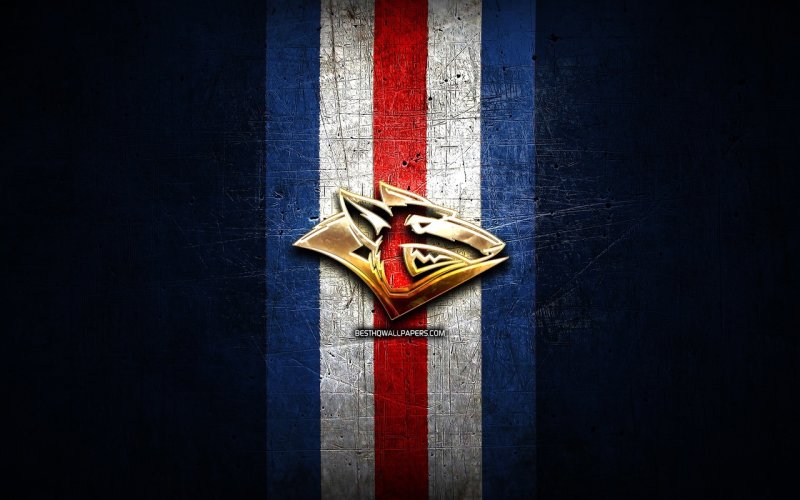 Металлург логотип КХЛ