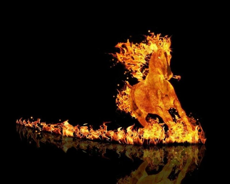 Огненная лошадь