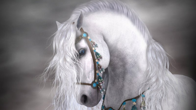 White Horse Wallpaper