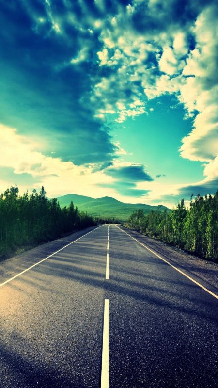 Красивая дорога