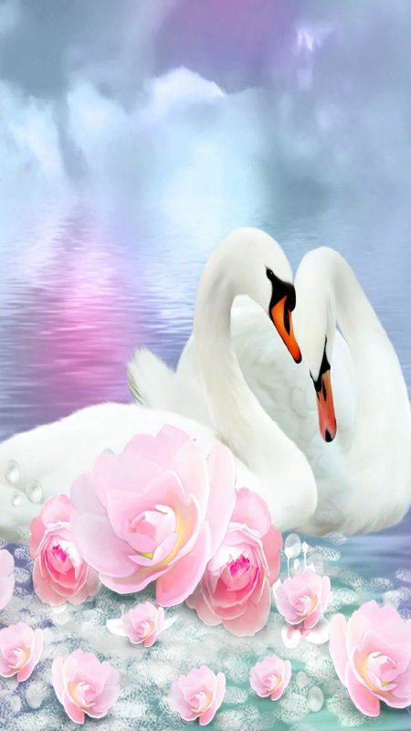 Красивые лебеди