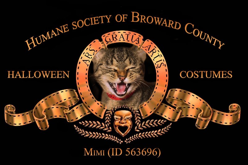 Логотип киностудии Metro-Goldwyn-Mayer