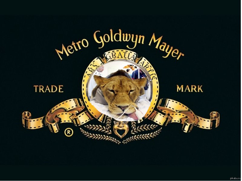 Киностудия со львом