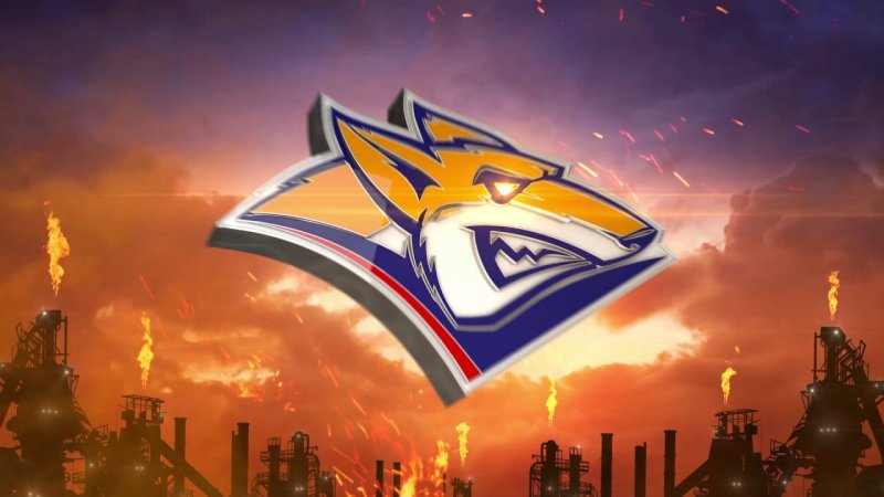 Магнитогорский Металлург хоккейный