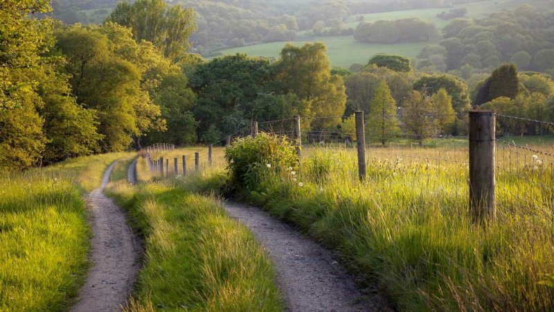 Сассекс Англия природа