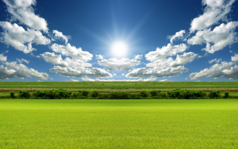 Пейзаж поле