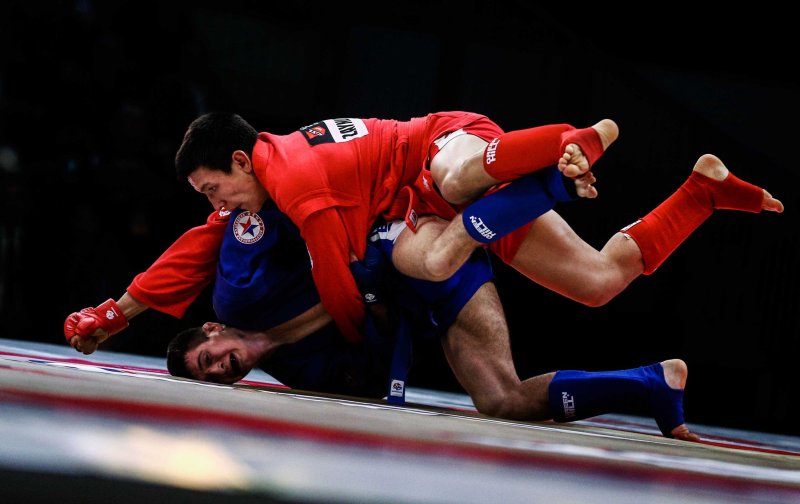 Самбо картинки