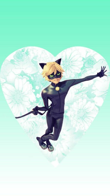 Леди баг и супер кот Нуар