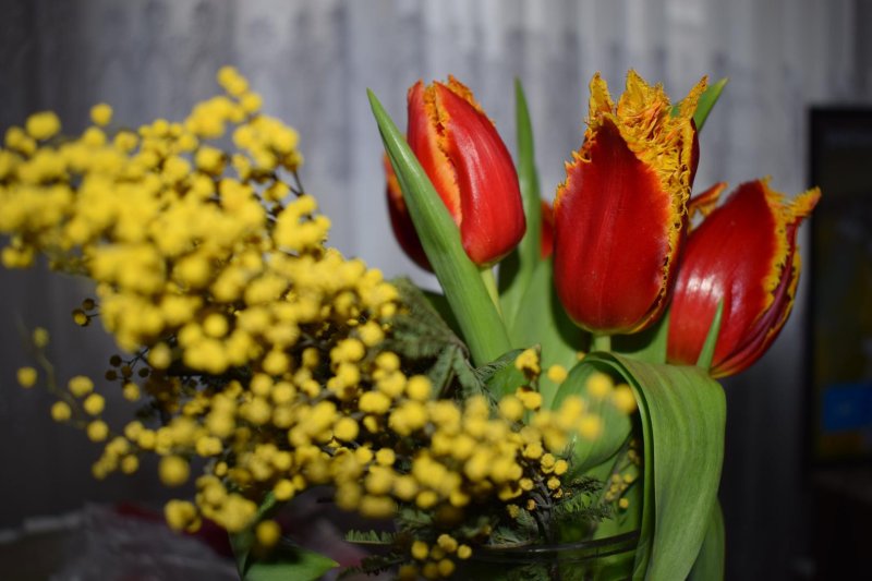 Тюльпаны с мимозой букет