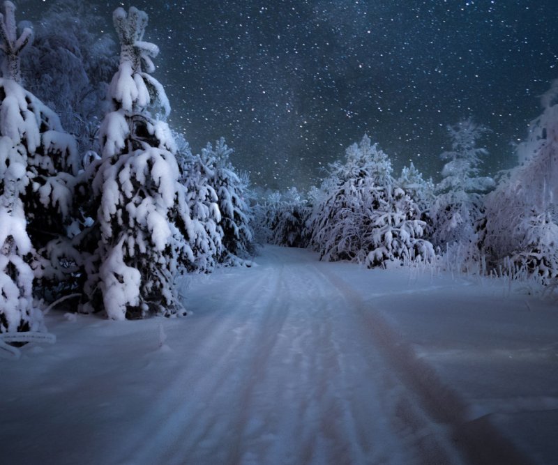 Зимний лес ночью