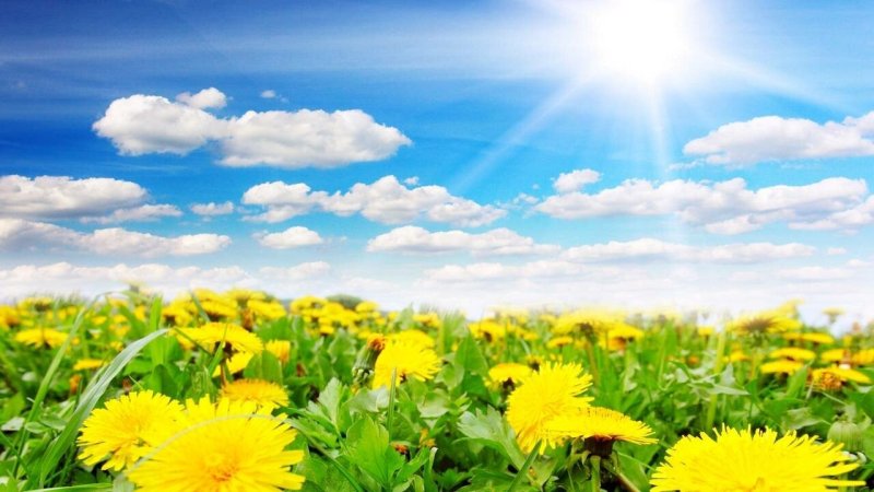 Природа солнце