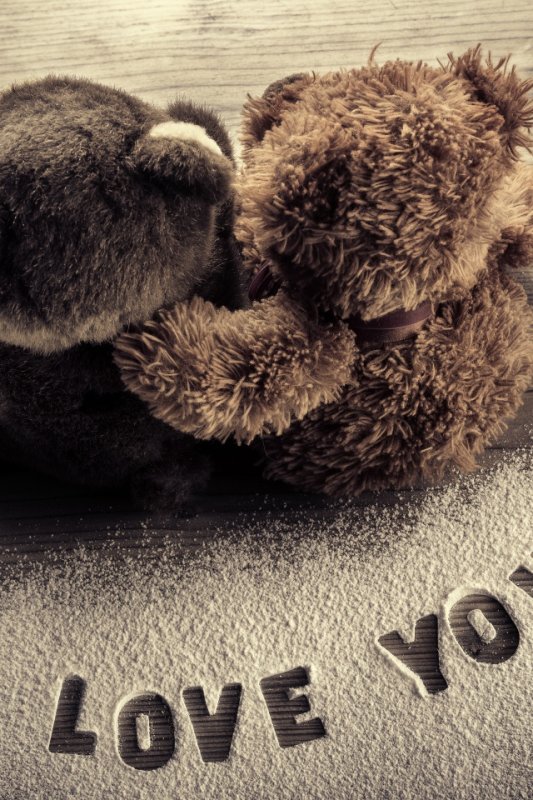 Плюшевый мишка