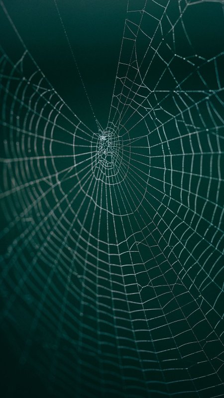 Горизонтальная паутина