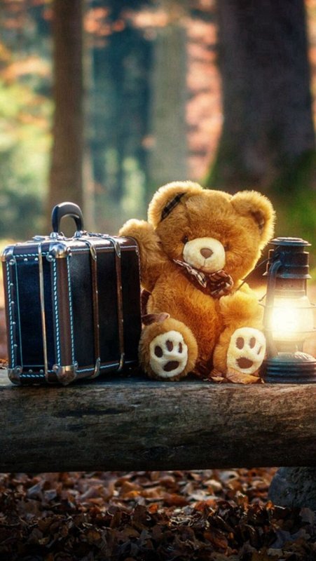 Медвежонок с телефоном