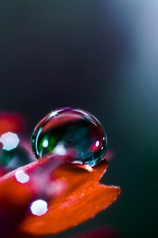 Фотообои телефон