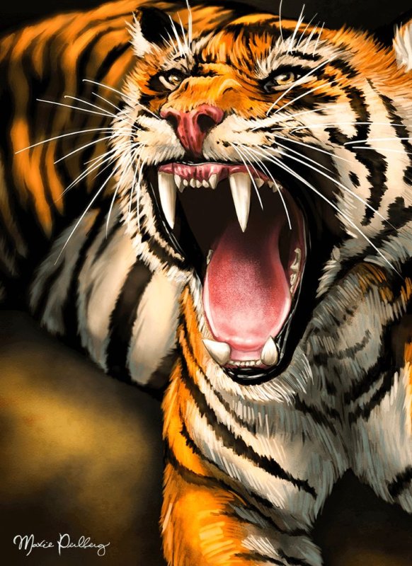 Оскал тигра тигра
