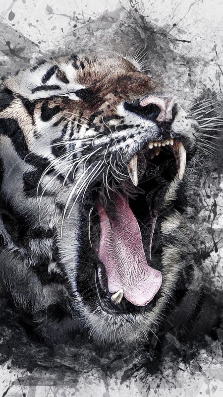 Оскал тигра рисунок