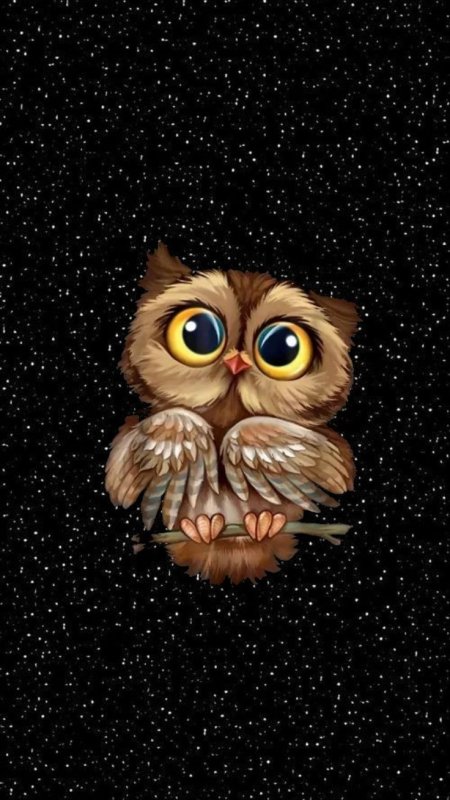 Пожелания доброй ночи с совой