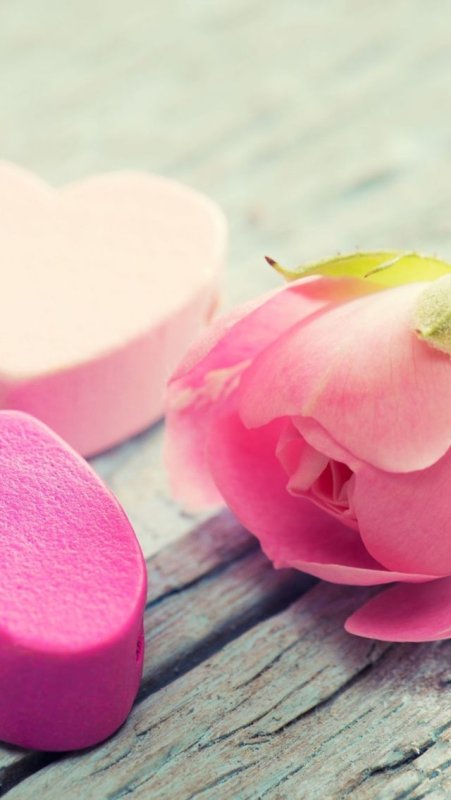 Нежные обои на телефон