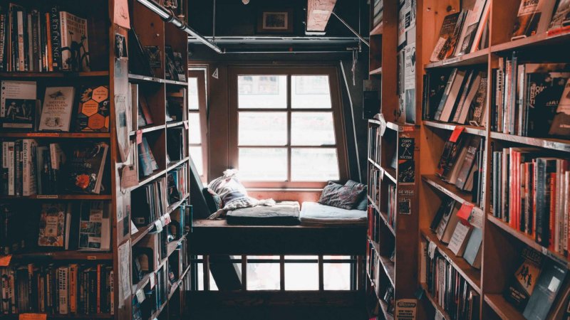 Интерьер с книжными полками