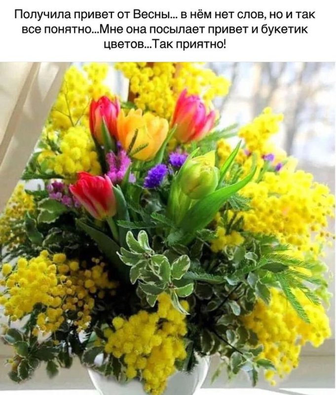 Мимоза букет 8 марта