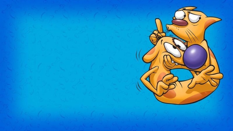 Котопес Постер